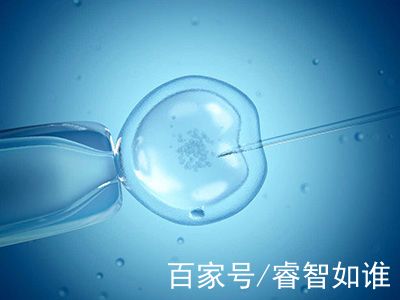 拉拉试管三代代孕机构